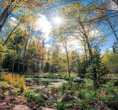 Boothbay, Coastal Maine Botanical Gardens, ME - May 2025